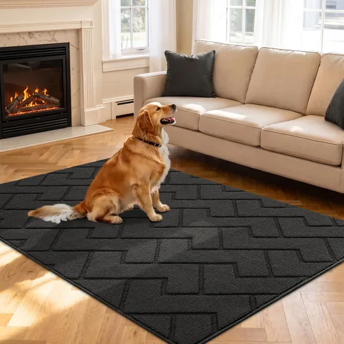 Vista 79 de hicorfe Tapete para puerta delantera para entrada exterior, 20 x 31.5 pulgadas, absorbente, resistente a la suciedad, tapetes de bienvenida
