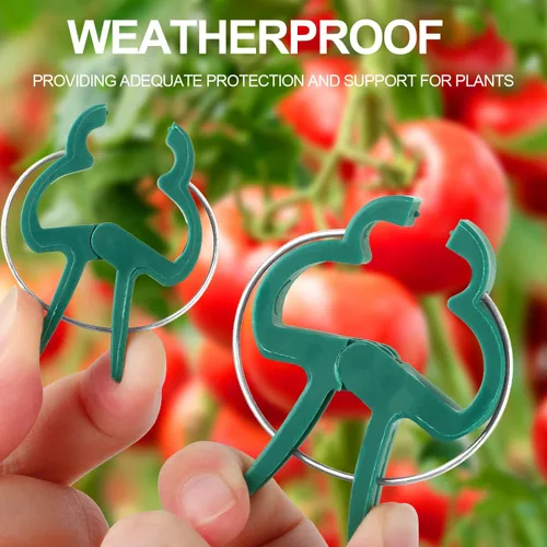 Vista 2 de Yinghezu 120 clips de soporte para plantas, flores y vides, clips de soporte para plantas de tomate de jardín para apoyar tallos, enredaderas
