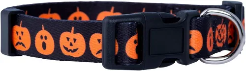 Vista 28 de Native Pup Collar de Perro con Bandera Americana - Rojo, Blanco y Azul - Collares Patrióticos para el 4 de Julio, EE.UU. - Ajustable para Perros