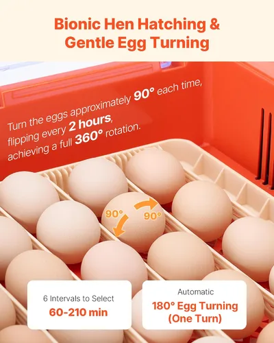 Vista 4 de VEVOR Incubadora de 36 huevos, incubadora automática con volteador de huevos y candelero LED y bandeja de agua, control de temperatura y humedad