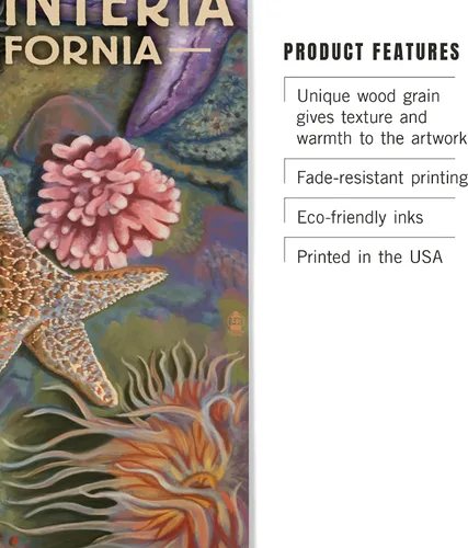 Vista 3 de Lantern Press Carpinteria, California, Tidepool (10.0 x 17.9 in, madera, listo para colgar)