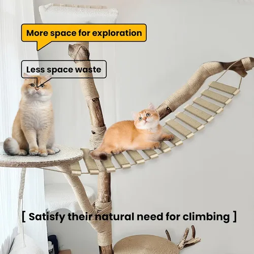 Vista 3 de Escalera y puente para gatos de 40 pulgadas, árbol para gatos al aire libre con cuerda de yute, marco de escalada de varios niveles y rascador