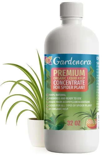 Vista 18 de GARDENERA Superalimento orgánico prémium de algas marinas y algas marinas para plantas AROID - 32 oz - Concentrado de fertilizante líquido de algas
