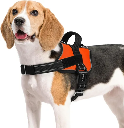 Vista 18 de rabbitgoo Arnés para perro pequeño, chaleco fácil de poner para mascotas con una hebilla, arnés de servicio ajustable sin tirones con anillo en D
