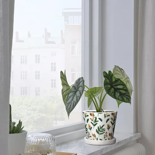 Vista 5 de Macetas decorativas de 5.5 pulgadas, macetas redondas de cerámica para plantas de interior con orificios de drenaje y platillos, macetas de flores