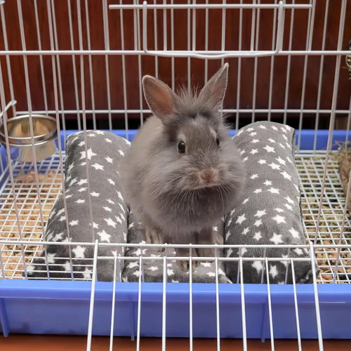 Vista 5 de Cama de conejo, accesorios de jaula de cama cóncava suave para animales pequeños