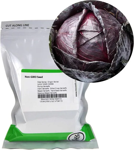 Vista 5 de Mountain Valley Seed Co - Microgreens de col roja y semillas germinadas, 1 onza