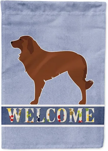 Vista 153 de Caroline's Treasures BB5552GF Affenpinscher Bandera de bienvenida para jardín, bandera decorativa para patio exterior, patio, parterres