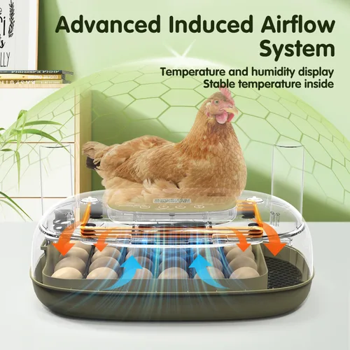 Vista 2 de Incubadora de 24 huevos con giro automático, control de temperatura y humedad, vela LED para huevos y adición automática de agua, para incubar