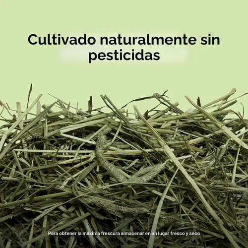 Vista 3 de Kaytee Heno Timothy Cortado en Obleas Totalmente Natural para Mascotas Conejillos de Indias, Conejos y Otros Animales Pequeños, 60 Onzas