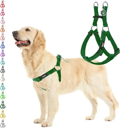 Vista 9 de Pupteck - Arnés para perros sin jalar, suave, ajustable, de nailon, talla básica, chaleco para cachorro, para caminar al aire libre con etiqueta