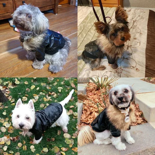 Vista 6 de Chamarra impermeable Lesypet de cuero para perro, abrigo invernal para perros pequeños y medianos, Negro
