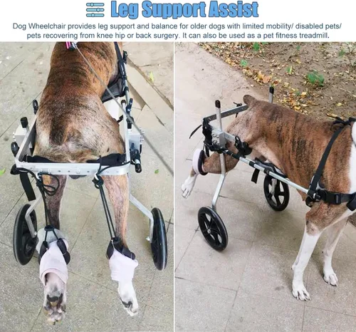 Vista 3 de Silla de ruedas ajustable para patas traseras, grande, pastor alemán labrador, ayuda para caminar, carritos para perros con 2 ruedas, soportes