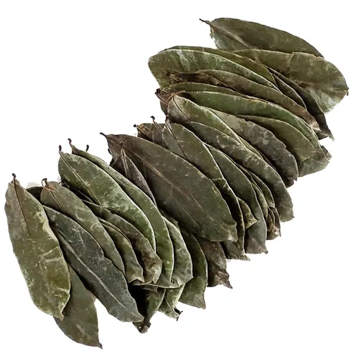 Vista 4 de Hojas secas de graviola, hojas de té de guanábana secas, hojas de guanabana 2 oz y 4 oz (2 onzas)