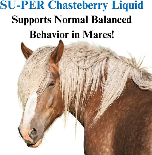 Vista 2 de SU-PER - Suplemento de Chasteberry para caballos, líquido de 1 cuarto