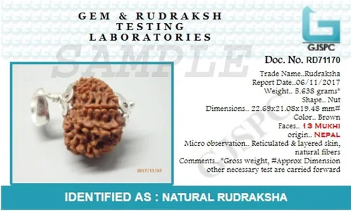 Vista 5 de 13 Mukhi Rudraksha - Colgante de plata 925 Thirteen Mukhi Nepali Rudraksha Cuentas sueltas Rudrakalagni Unisex tanto para hombres como