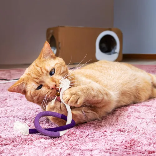 Vista 7 de Cuerda masticable para gatos, paquete de 3 cuerdas para masticar para limpieza de dientes, juguetes de dentición para gatitos con palo