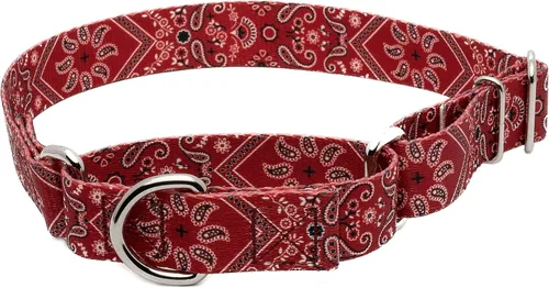 Vista 17 de Country Brook Petz - Collar de perro Albuquerque Martingale - Colección Country and Western con diseños rústicos (1/2 pulgada, 2XS)