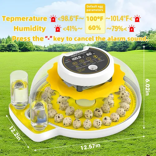 Vista 5 de Incubadora de huevos de codorniz para incubar 40 huevos de codorniz con Amarillo
