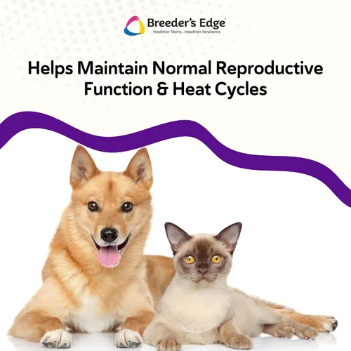 Vista 5 de Breeder's Edge B Polvo fuerte, suplemento vitamínico de complejo B para perros y gatos, apoya la salud reproductiva, promueve los ciclos de calor