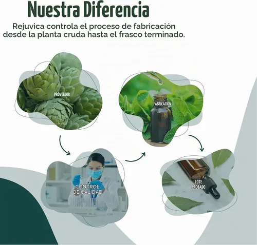 Vista 10 de LymphoRight - Suplemento de apoyo linfático - Equinácea y saúco y vital