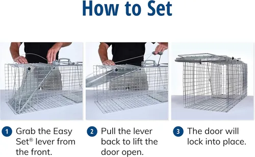 Vista 6 de Havahart 1085 - Trampa grande para animales vivos de 1 puerta, fácil de instalar, para armadillos, gatos, marmotas, ratas almizcleras, zorrillos