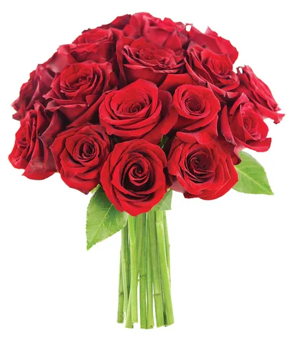 Vista 71 de KaBloom - Rosas arcoíris (media docena)- Flores frescas para cumpleaños, San Valentín y Día de la Madre