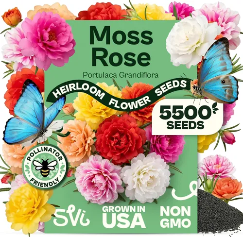 Vista 76 de Queen Anne 's Lace- 200 semillas – 50% de descuento venta