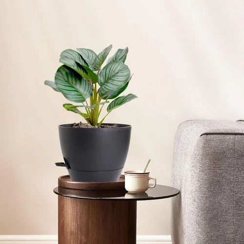 Vista 2 de Macetas de 8 pulgadas con riego automático, juego de 2 macetas de plástico con agujeros de drenaje de malla para plantas de jardín y flores, macetas