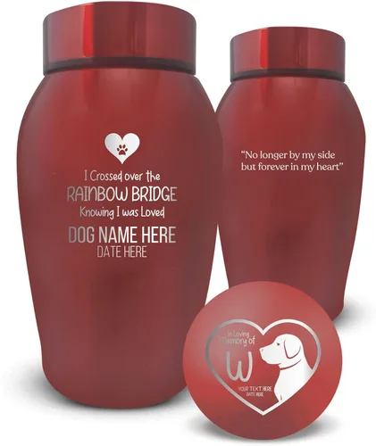 Vista 29 de Urna de perro personalizada: nombre y fecha de perro grabados, urnas de cremación de acero inoxidable para cenizas de perro con cierre hermético