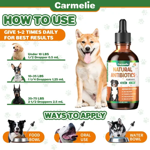 Vista 6 de Antibióticos naturales para perros – Antibióticos para perros, suplementos nutricionales para problemas de piel, alivio de picazón, suplemento