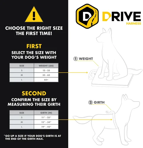 Vista 2 de EzyDog Arnés de coche Drive Dog, probado en choques y certificado, mediano