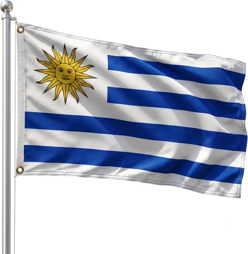 Vista 155 de DMSE - Bandera nacional beninesa beninesa de la República de África Occidental, 2 x 3 pies, 100 % poliéster, 100 % poliéster, resistente a los rayos