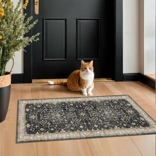 Vista 233 de Hazo Haus – Alfombra pequeña para entrada, cocina o baño, antideslizante con base de goma, resistente a las manchas y a la decoloración, diseño