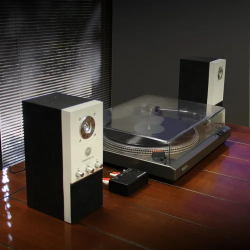 Vista 5 de GOgroove Preamplificador de preamplificador de mini tocadiscos con adaptador de CC de 12 voltios, entrada RCA para reproductor de discos de vinilo
