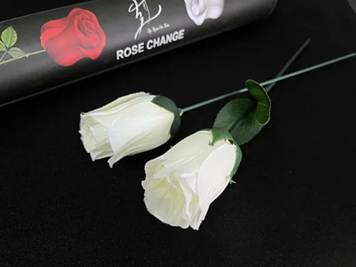 Vista 2 de ZQION Cambio de rosa Trucos de magia Cambio de Color Twin Rose Flower Silk Magia Magia Etapa Primer plano ilusiones Trucos mentalismo Props