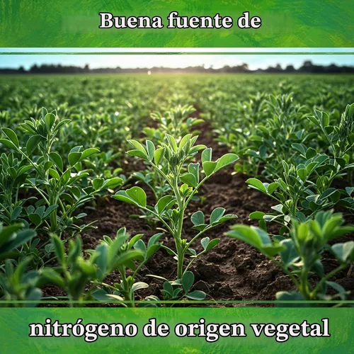 Vista 7 de Down To Earth All Natural Fertilizers Organic Alfalfa Meal - 2-0-1, 0.5 lb