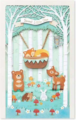 Vista 4 de American Greetings Nueva tarjeta de bebé (tu increíble familia)