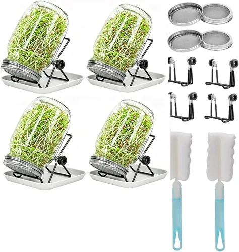 Vista 9 de Lulonpon Juego de 2 tarros para cultivar brotes, tarros de boca ancha de un cuarto de galón con tapas de germinación de pantalla de acero