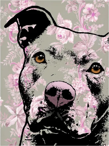Vista 2 de Trademark Fine Art - Lienzo decorativo "Thoughtful Pit Bull" - 19 x 14