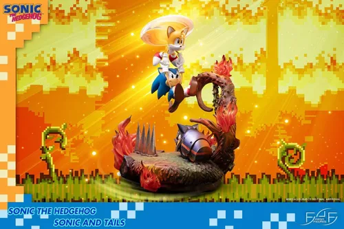 Vista 4 de Sonic The Hedgehog: Sonic and Tails - Figura de edición estándar sin escala
