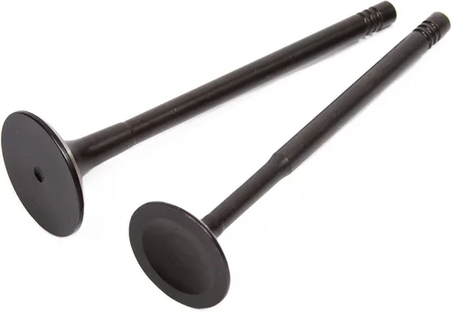 Vista 9 de Evergreen HSHBIEV9018 - Juego de juntas de cabeza para válvulas de escape de admisión compatibles con Audi A4 TT Quattro Volkswagen Beetle Goft