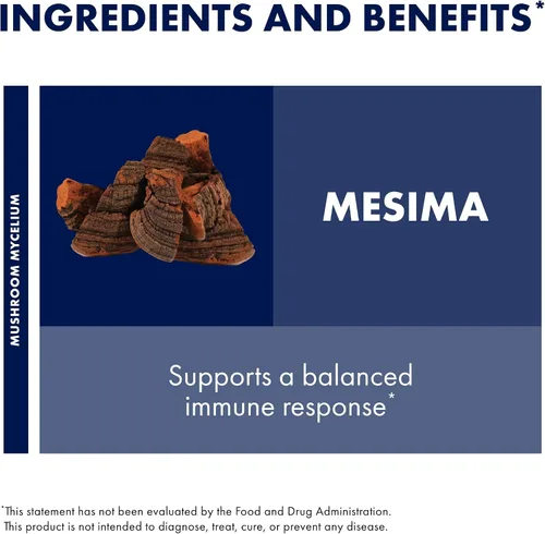 Vista 6 de Host Defense Mesima Cápsulas – Actividad antioxidante herbaria y suplemento de apoyo del sistema inmunológico – Suplemento de hongos para apoyar una