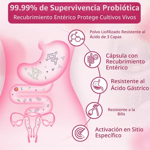 Vista 3 de NATURE TARGET Probióticos para la piel para mujeres 90 cápsulas