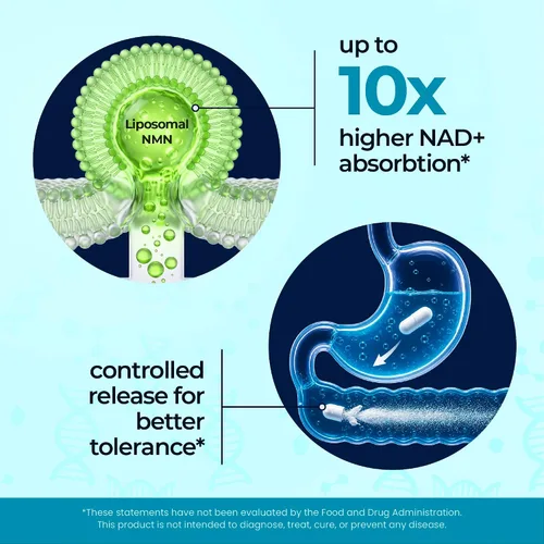 Vista 7 de NMN liposomal de 750 mg por porción (500 mg NMN + 250 mg de TMG) – Suplemento de mononucleótido de nicotinamida de absorción mejorada – Soporte