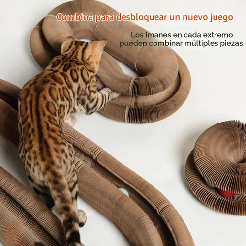 Vista 2 de CusieryMax Cat Ball Adventure, el mejor ejercicio físico y mental interactivo para gatos