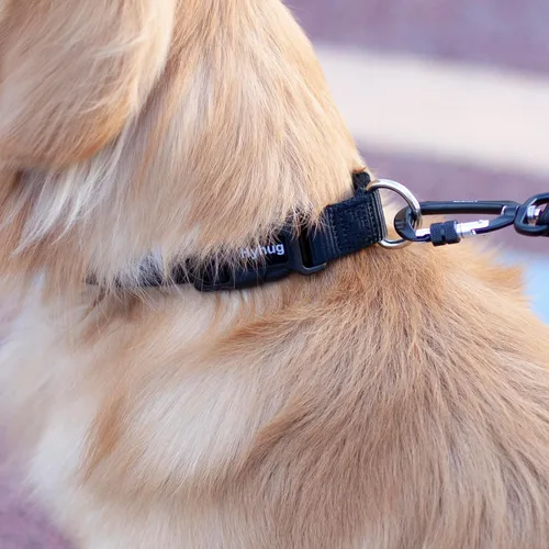 Vista 4 de Hyhug Pets - Collar clásico para perros de la colección regular de color sólido (S, negro)