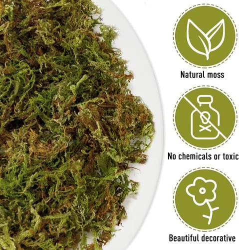 Vista 3 de EBOOT Musgo falso de musgo sintético de 42.33 onzas para plantas en maceta, musgo sintético de gran capacidad para terrario, musgo natural