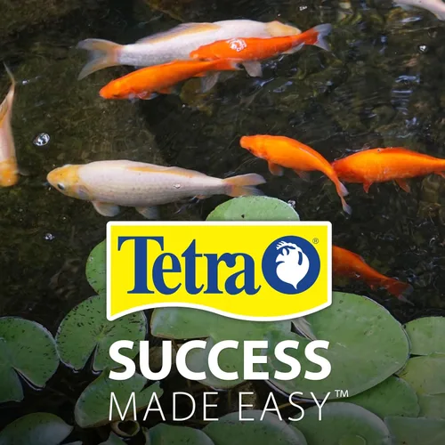 Vista 10 de Alimento de dieta para peces de primavera y otoño TetraPong.