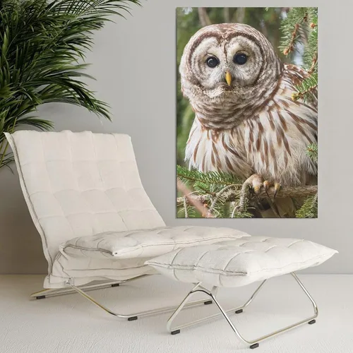 Vista 4 de Póster de lienzo con diseño de búho con diseño de pájaro con diseño de barras, decoración de dormitorio, paisaje deportivo, oficina, habitación